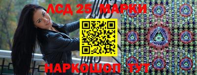 гидропоника Волгодонск