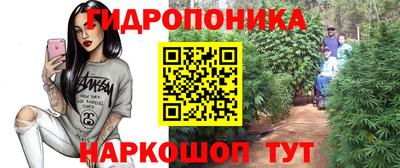 apvp Волжск