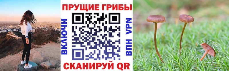Псилоцибиновые грибы мицелий  Россошь 