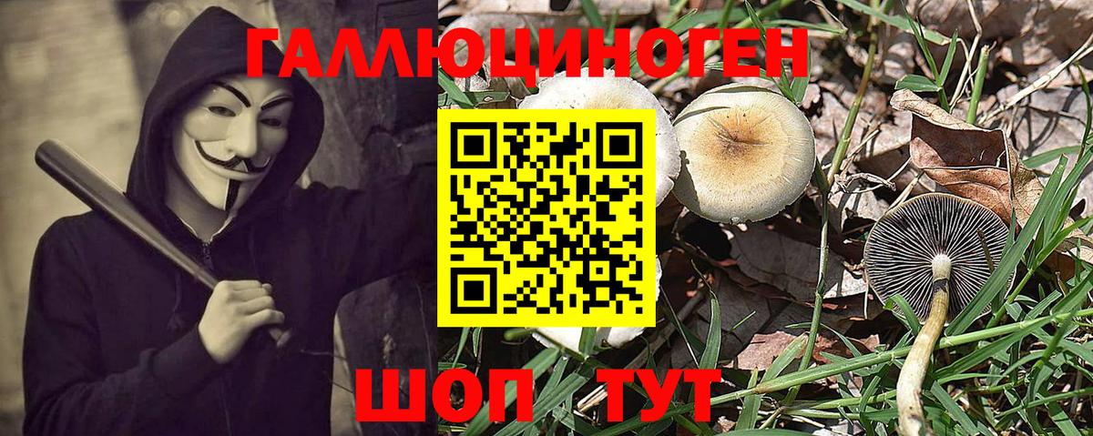 Псилоцибиновые грибы мухоморы Россошь