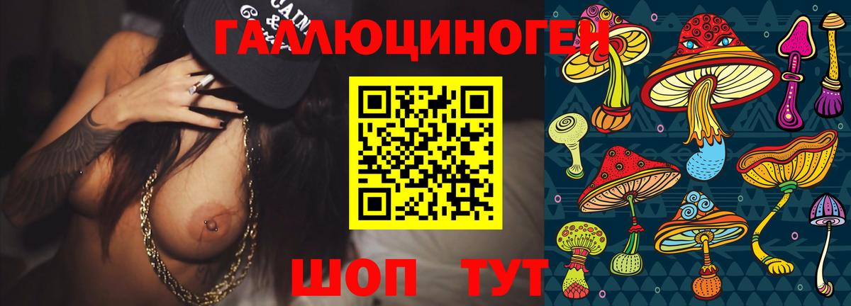 Россошь  Галлюциногенные грибы Psilocybine cubensis  Вход с VPN 